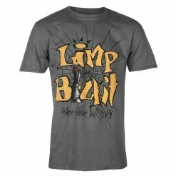 Men's T-shirt Limp Bizkit - 3 Dollar Bill - GREY - ROCK OFF