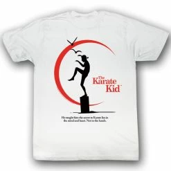 Men's T-shirt Karate Kid - Karate Truth - AC